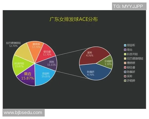 北京排球队实力对比深度解析与未来发展趋势探讨